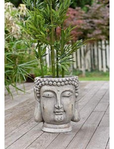 Pot de Fleurs tête Bouddha 43 cm