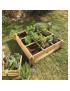 Carrés potagers