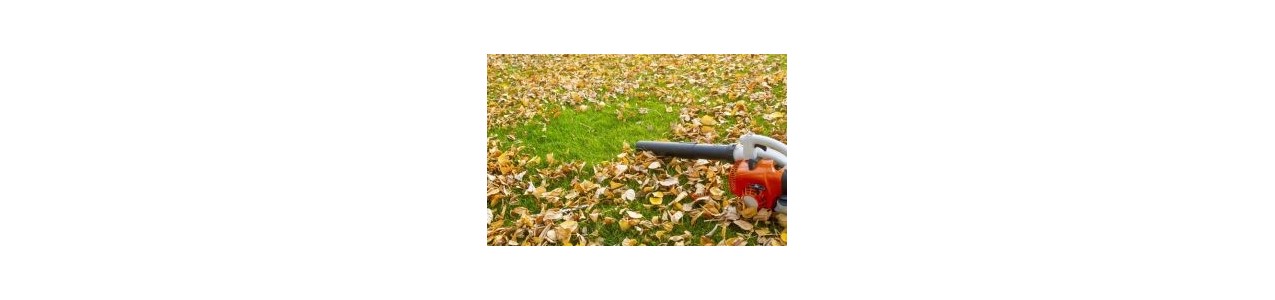 Souffleurs  de feuilles