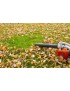 Souffleurs  de feuilles