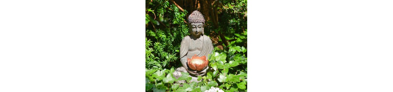 Décoration jardin