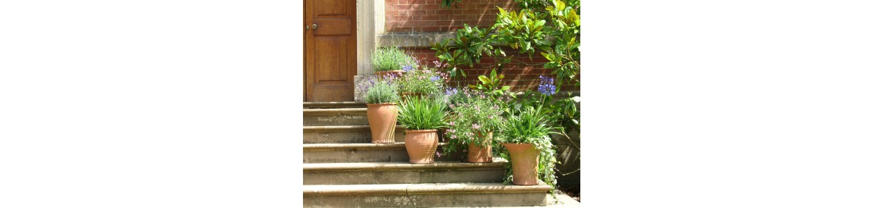 Pots de fleurs
