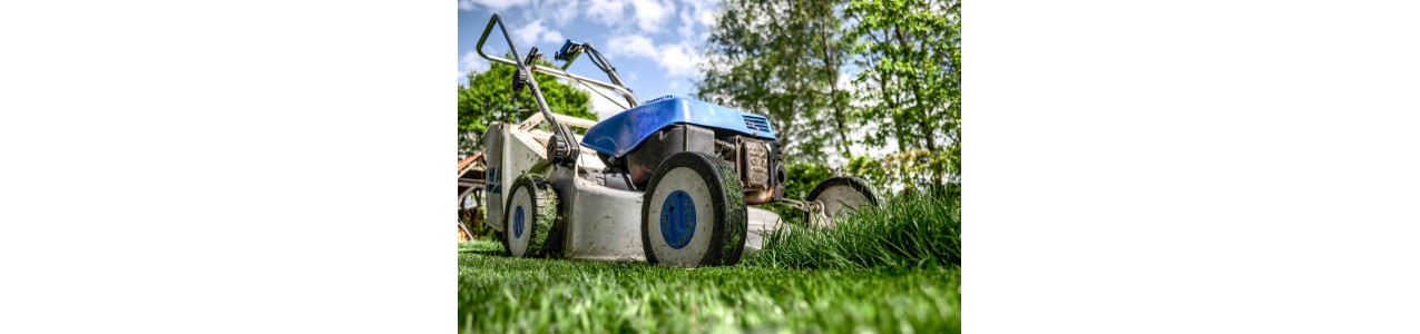 Les outillages indispensable pour tout adepte de jardinage